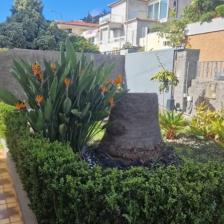Boa Nova * Funchal (Madeira)