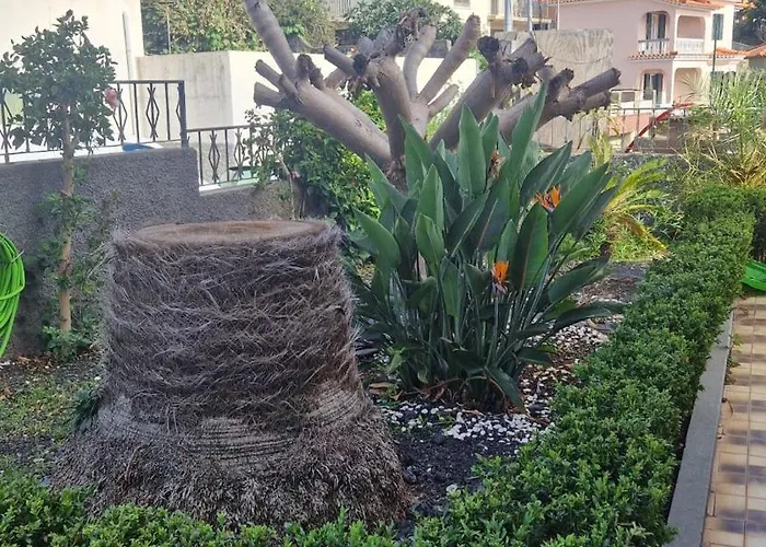 Holiday home Boa Nova